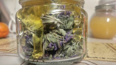 From Bloom to Boom: Herbs4Bees Image